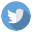 Αποτέλεσμα εικόνας για tweeter logo